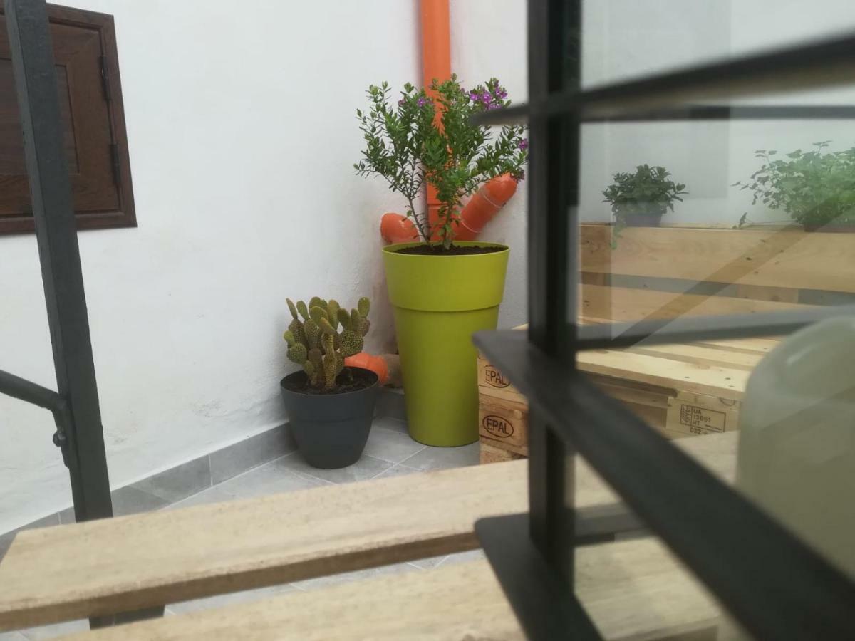 Sofia Pretty Appartament Vakantiehuis Palermo